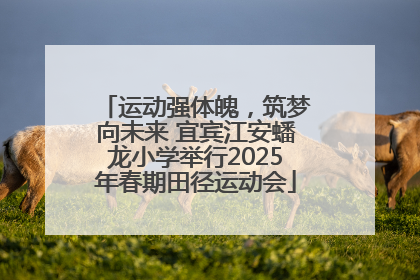 运动强体魄，筑梦向未来 宜宾江安蟠龙小学举行2025年春期田径运动会