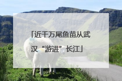 近千万尾鱼苗从武汉“游进”长江