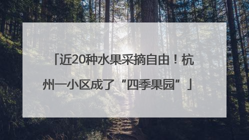 近20种水果采摘自由！杭州一小区成了“四季果园”