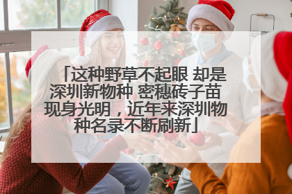 这种野草不起眼 却是深圳新物种 密穗砖子苗现身光明，近年来深圳物种名录不断刷新