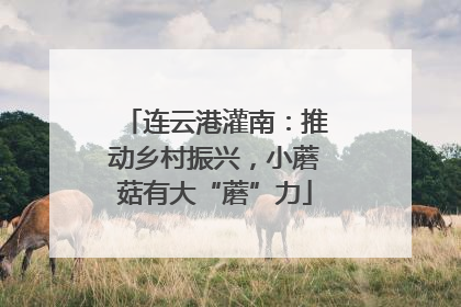 连云港灌南：推动乡村振兴，小蘑菇有大“蘑”力