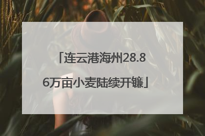 连云港海州28.86万亩小麦陆续开镰