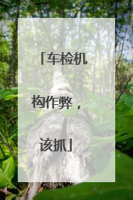车检机构作弊，该抓