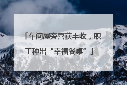 车间屋旁喜获丰收，职工种出“幸福餐桌”