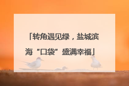 转角遇见绿，盐城滨海“口袋”盛满幸福