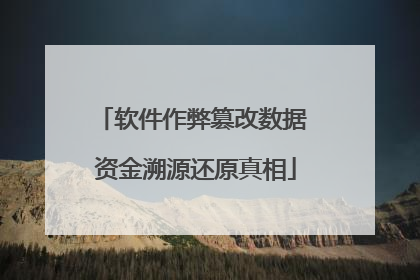 软件作弊篡改数据 资金溯源还原真相
