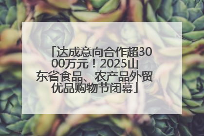 达成意向合作超3000万元！2025山东省食品、农产品外贸优品购物节闭幕