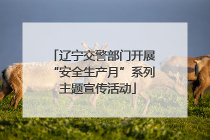 辽宁交警部门开展“安全生产月”系列主题宣传活动