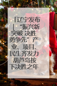 辽宁发布｜“振兴新突破 决胜勇争先”产业、项目、民生齐发力 葫芦岛按下决胜之年“加速键”