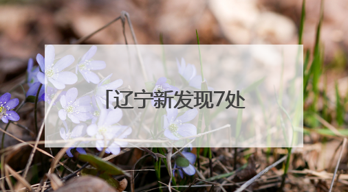 辽宁新发现7处燕秦汉长城遗迹