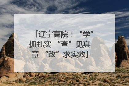 辽宁高院：“学”抓扎实 “查”见真章 “改”求实效