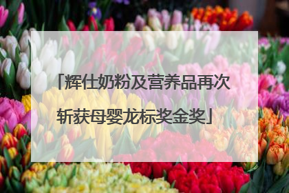 辉仕奶粉及营养品再次斩获母婴龙标奖金奖