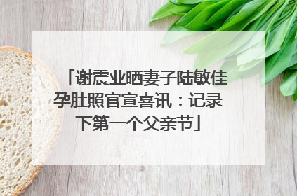 谢震业晒妻子陆敏佳孕肚照官宣喜讯：记录下第一个父亲节