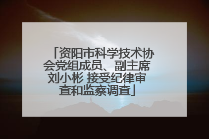 资阳市科学技术协会党组成员、副主席刘小彬 接受纪律审查和监察调查