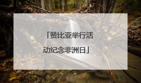 赞比亚举行活动纪念非洲日