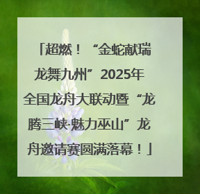 超燃！“金蛇献瑞 龙舞九州”2025年全国龙舟大联动暨“龙腾三峡·魅力巫山”龙舟邀请赛圆满落幕！