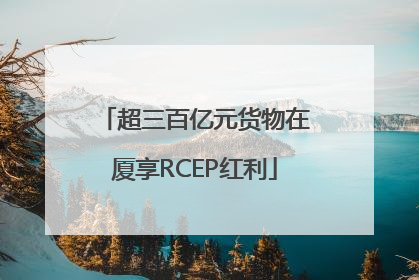 超三百亿元货物在厦享RCEP红利