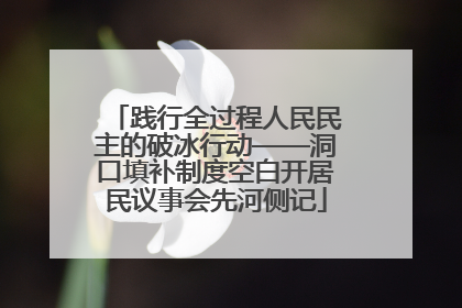 践行全过程人民民主的破冰行动——洞口填补制度空白开居民议事会先河侧记