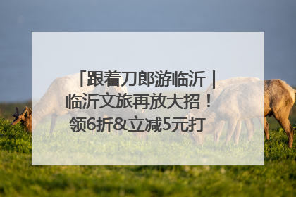 跟着刀郎游临沂｜临沂文旅再放大招！领6折&立减5元打车券，使用后还有2张5折券免费领！