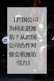 跨国公司为何走进潍坊？从跨国公司合作对接会看潍坊引力