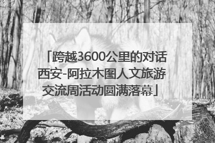 跨越3600公里的对话 西安-阿拉木图人文旅游交流周活动圆满落幕