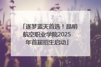 逐梦蓝天首选！昆明航空职业学院2025年首届招生启动