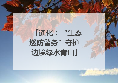 通化：“生态巡防警务”守护边境绿水青山