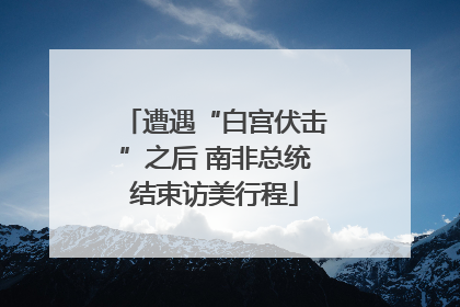 遭遇“白宫伏击”之后 南非总统结束访美行程