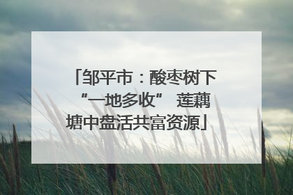 邹平市：酸枣树下“一地多收” 莲藕塘中盘活共富资源