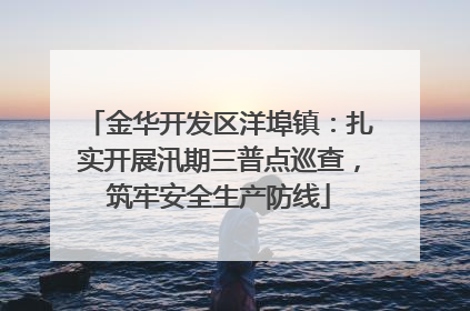 金华开发区洋埠镇：扎实开展汛期三普点巡查，筑牢安全生产防线