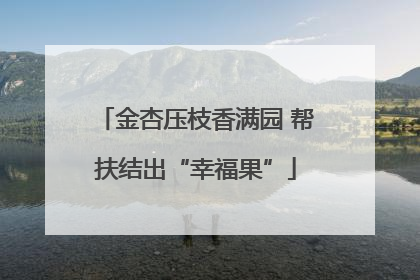 金杏压枝香满园 帮扶结出“幸福果”