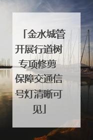 金水城管开展行道树专项修剪 保障交通信号灯清晰可见