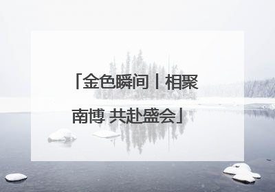 金色瞬间丨相聚南博 共赴盛会