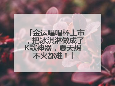 金运唱唱杯上市，把冰淇淋做成了K歌神器，夏天想不火都难！