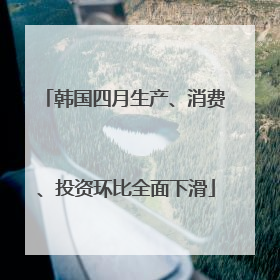 韩国四月生产、消费、投资环比全面下滑