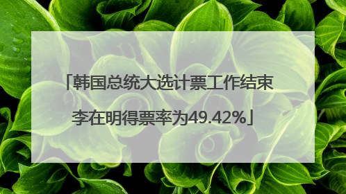 韩国总统大选计票工作结束 李在明得票率为49.42%