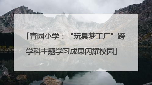 青园小学：“玩具梦工厂”跨学科主题学习成果闪耀校园