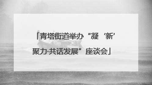 青塔街道举办“凝‘新’聚力·共话发展”座谈会