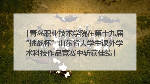 青岛职业技术学院在第十九届“挑战杯”山东省大学生课外学术科技作品竞赛中斩获佳绩