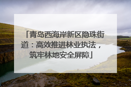 青岛西海岸新区隐珠街道：高效推进林业执法，筑牢林地安全屏障