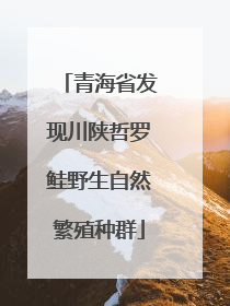 青海省发现川陕哲罗鲑野生自然繁殖种群