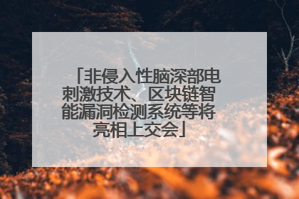 非侵入性脑深部电刺激技术、区块链智能漏洞检测系统等将亮相上交会