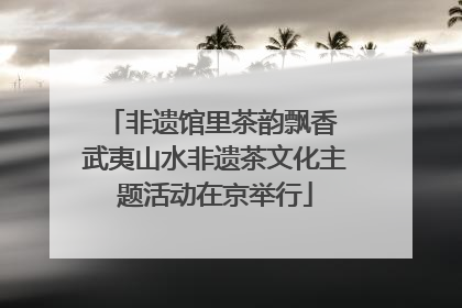 非遗馆里茶韵飘香 武夷山水非遗茶文化主题活动在京举行