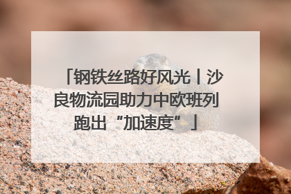 钢铁丝路好风光丨沙良物流园助力中欧班列跑出“加速度”