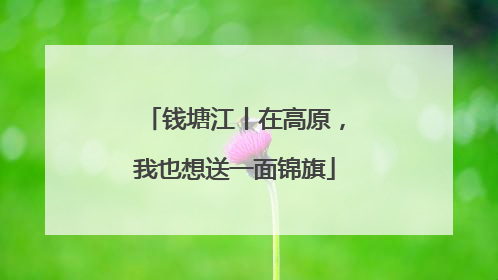 钱塘江丨在高原，我也想送一面锦旗