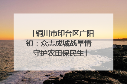 铜川市印台区广阳镇：众志成城战旱情 守护农田保民生