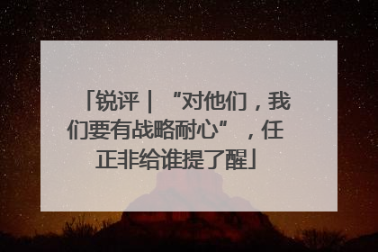 锐评｜“对他们，我们要有战略耐心”，任正非给谁提了醒