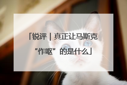 锐评｜真正让马斯克“作呕”的是什么