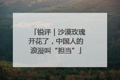 锐评｜沙漠玫瑰开花了，中国人的浪漫叫“担当”