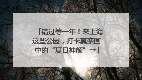 错过等一年！来上海这些公园，打卡莫奈画中的“夏日神颜”→